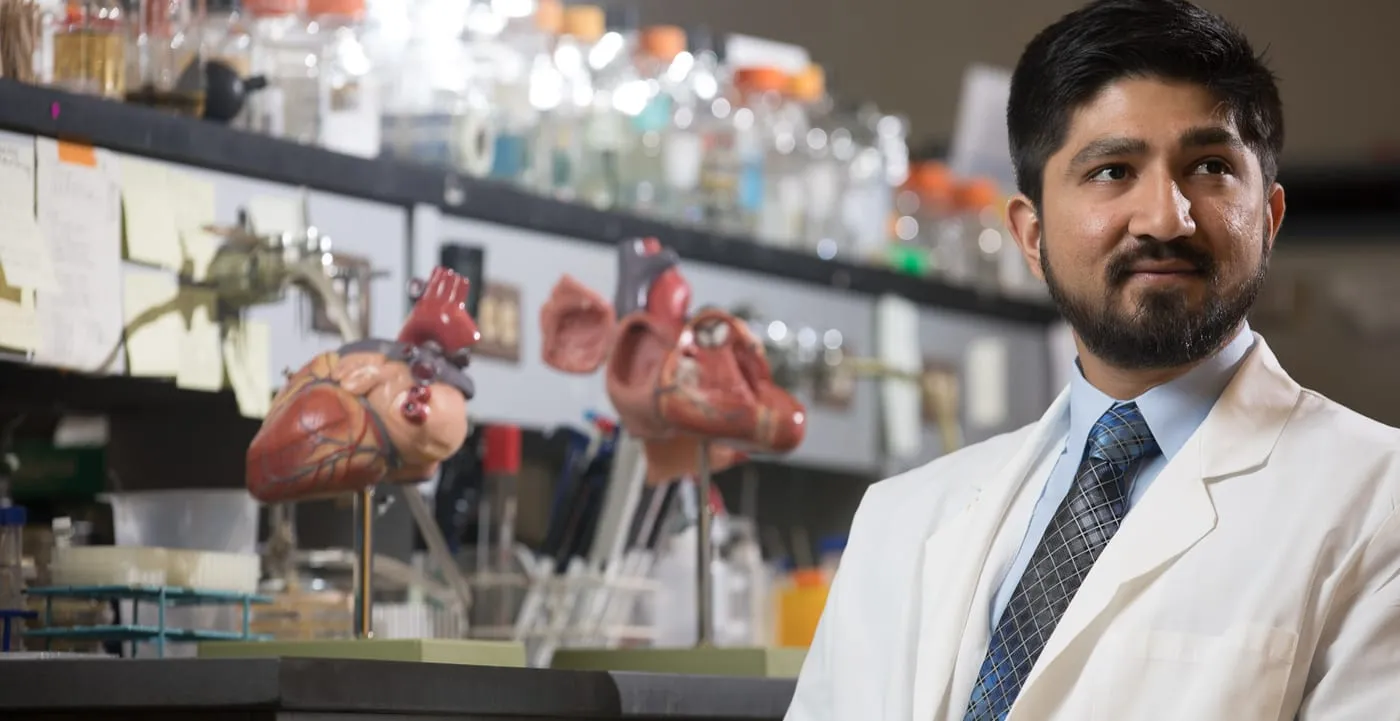 Arnab Chakraborty in the lab with anatomical heart models